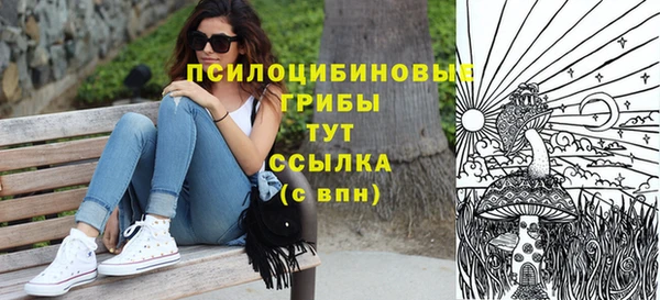 твердый Алексеевка