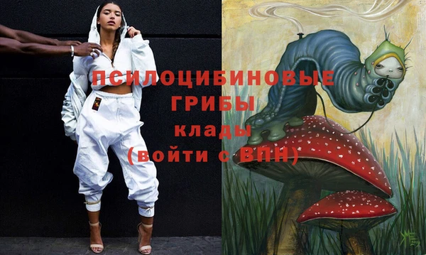 твердый Алексеевка